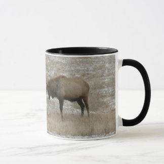 Sparring Elche Tasse