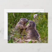 Sparring Partner Postcard Postkarte (Vorne/Hinten)