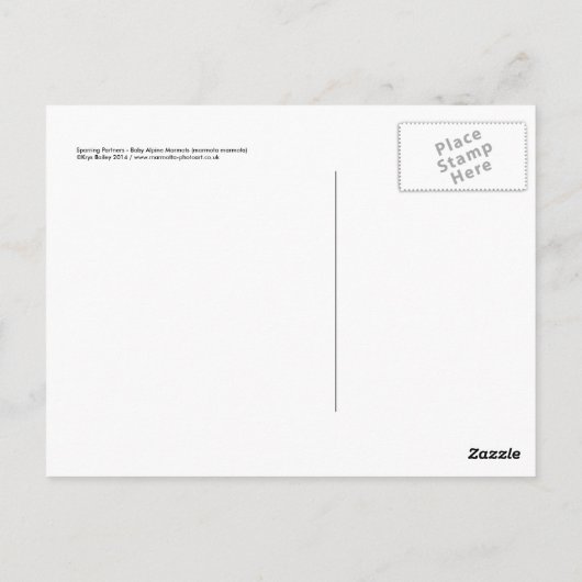 Sparring Partner Postcard Postkarte (Rückseite)