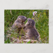Sparring Partner Postcard Postkarte (Vorderseite)