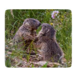 Sparring Partners Glass Cutting Board Schneidebrett
