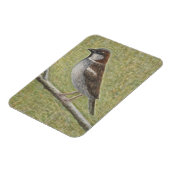 Sparrow 2008 magnet (Linke Seite)