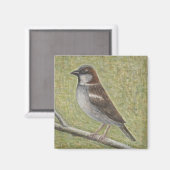 Sparrow 2008 magnet (Vorderseite/Rückseite)