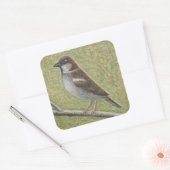 Sparrow 2008 quadratischer aufkleber (Umschlag)