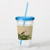 Sparrow Acryltrinkbecher (Rückseite)