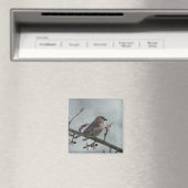 Sparrow auf Branch-Foto Magnet (In Situ (Geschirrspüler))