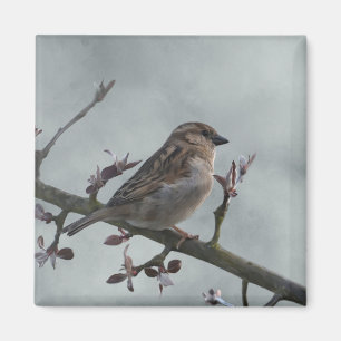 Sparrow auf Branch-Foto Magnet