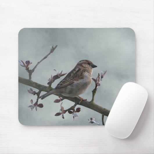 Sparrow auf Branch-Foto Mousepad (Mit Mouse)