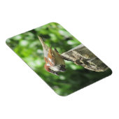 Sparrow auf dem Baumstumpf Magnet (Rechte Seite)