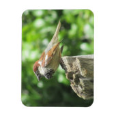 Sparrow auf dem Baumstumpf Magnet (Vertikal)