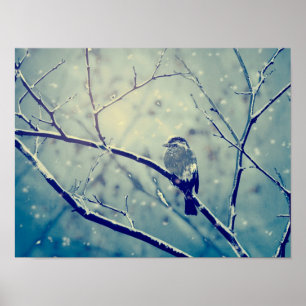 Sparrow auf dem verschneiten Zweig Poster