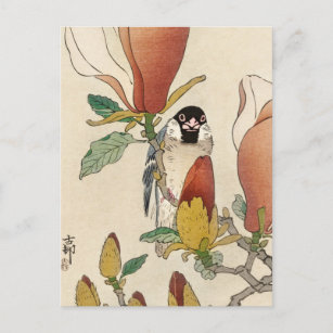 Sparrow auf der blühenden Magnolia-Zweigstelle von Postkarte