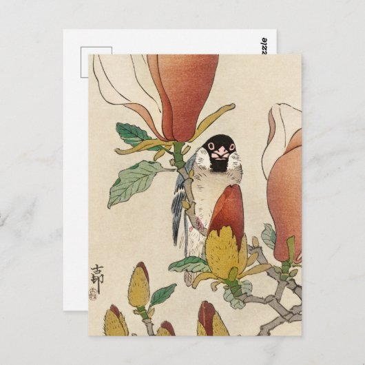 Sparrow auf der blühenden Magnolia-Zweigstelle von Postkarte (Vorne/Hinten)