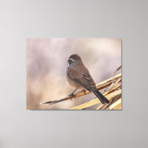 Sparrow auf einer dünnen Verzweigung Leinwanddruck