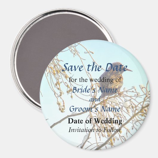 Sparrow auf einer Winter-Zweigniederlassung Save t Magnet (Vorderseite/Rückseite)