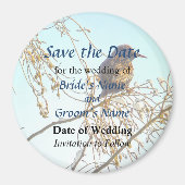 Sparrow auf einer Winter-Zweigniederlassung Save t Magnet (Vorne)