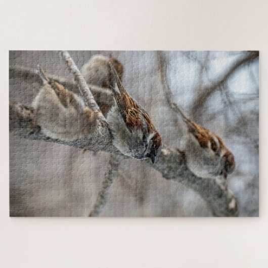 Sparrow auf Zweigniederlassung Puzzle (Horizontal)