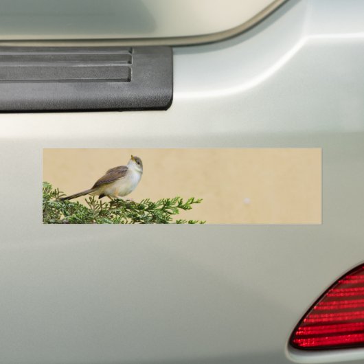 Sparrow Autoaufkleber (Auf Auto)