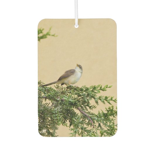 Sparrow Autolufterfrischer (Vorderseite)