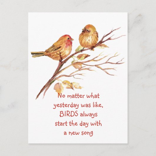 Sparrow Bird inspirierendes Zitat Postkarte (Vorderseite)