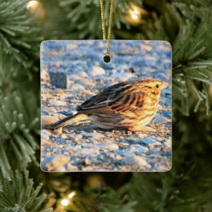 Sparrow Bird Keramikornament