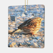 Sparrow Bird Keramikornament (Links)