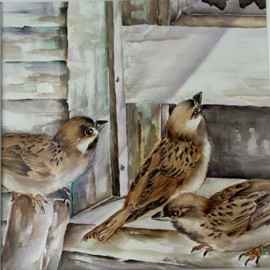 Sparrow Bird Notebook | Nature Journal Gift | NZ Notizblock