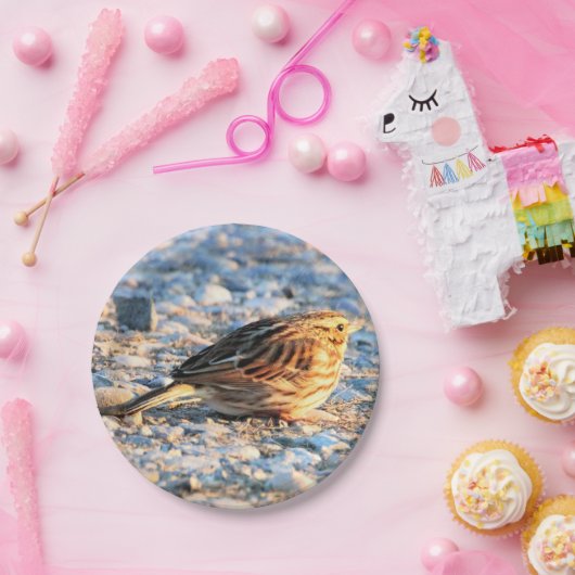Sparrow Bird Pappteller (Party)