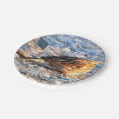 Sparrow Bird Pappteller (Schrägansicht)