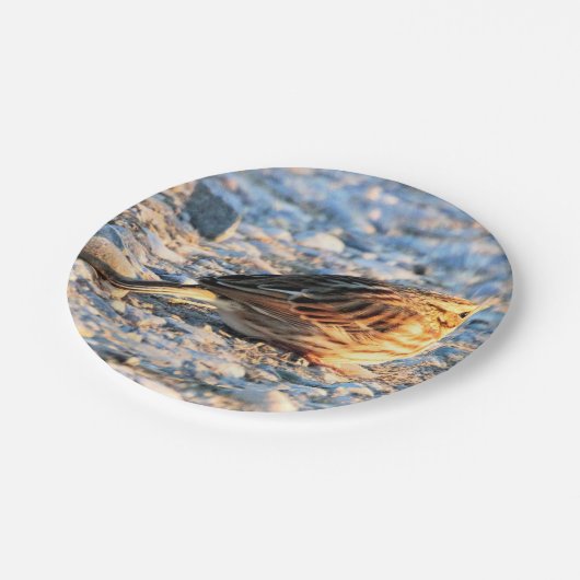 Sparrow Bird Pappteller (Schrägansicht)