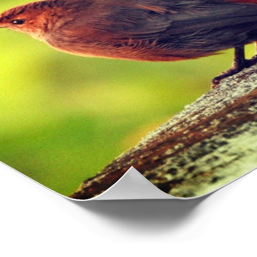 Sparrow Bird Perched Poster (Ecke)