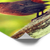 Sparrow Bird Perched Poster (Ecke)