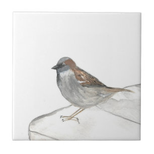 Sparrow Bird Wildlife Watercolor Natur Niedlich Fliese