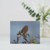 Sparrow Blue Sky Postcard Postkarte (Stehend Vorderseite)