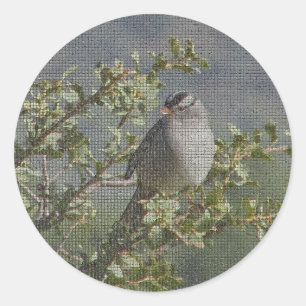 Sparrow Branch Wild Bird Foto Mosaic Birdwatcher Runder Aufkleber