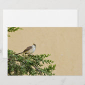 Sparrow Briefpapier (Vorne/Hinten)