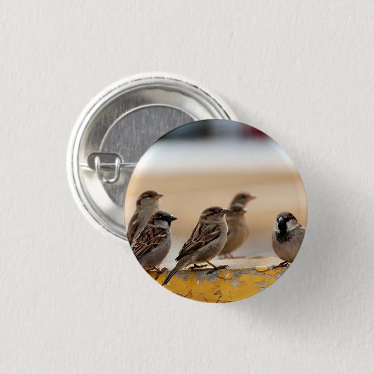 Sparrow Button (Vorne & Hinten)