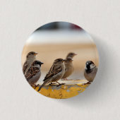 Sparrow Button (Vorderseite)