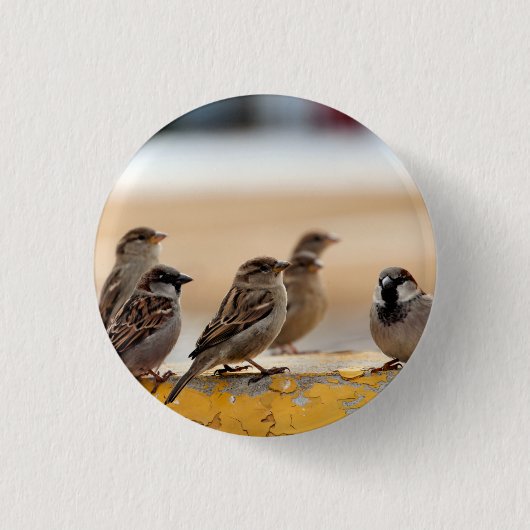 Sparrow Button (Vorderseite)