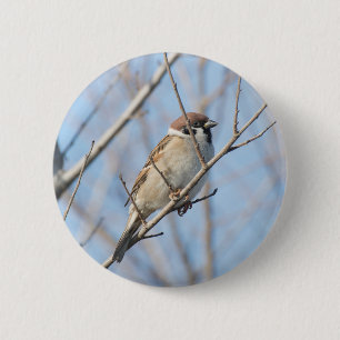 Sparrow Button