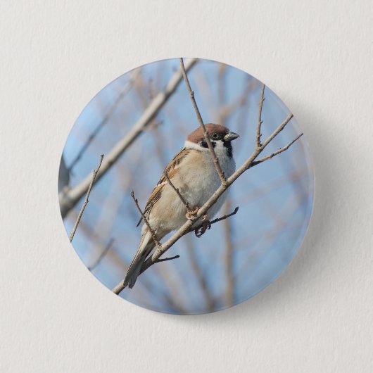 Sparrow Button (Vorderseite)