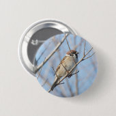 Sparrow Button (Vorne & Hinten)