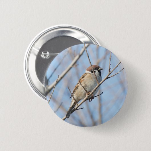 Sparrow Button (Vorne & Hinten)