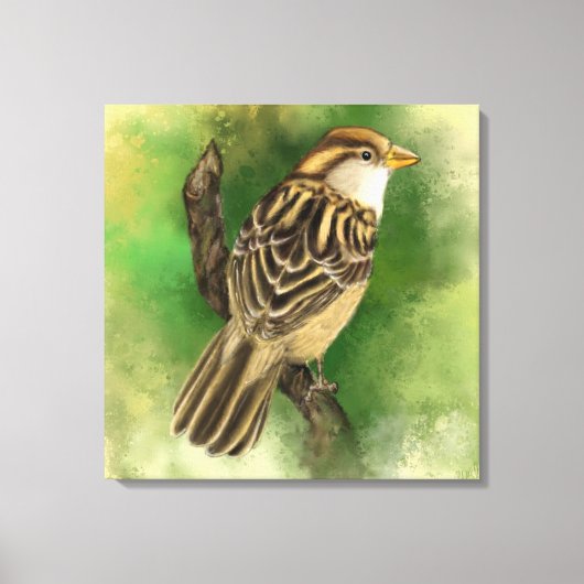 Sparrow Canvas Print Little Bird Leinwanddruck (Vorderseite)