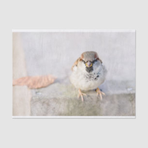 Sparrow - Der Krieger Seidenpapier