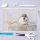 Sparrow - Der Krieger Seidenpapier (Handwerk)