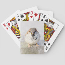 Sparrow - Der Krieger