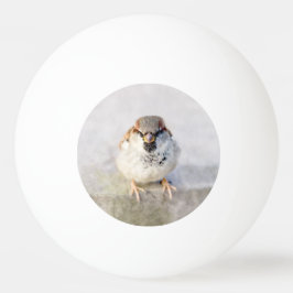 Sparrow - Der Krieger Tischtennisball