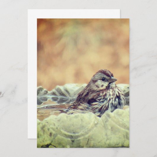 Sparrow, die einen Bath einnimmt Dankeskarte (Vorne/Hinten)
