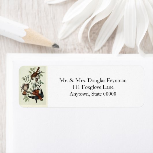 Sparrow-Falken (Insitu)